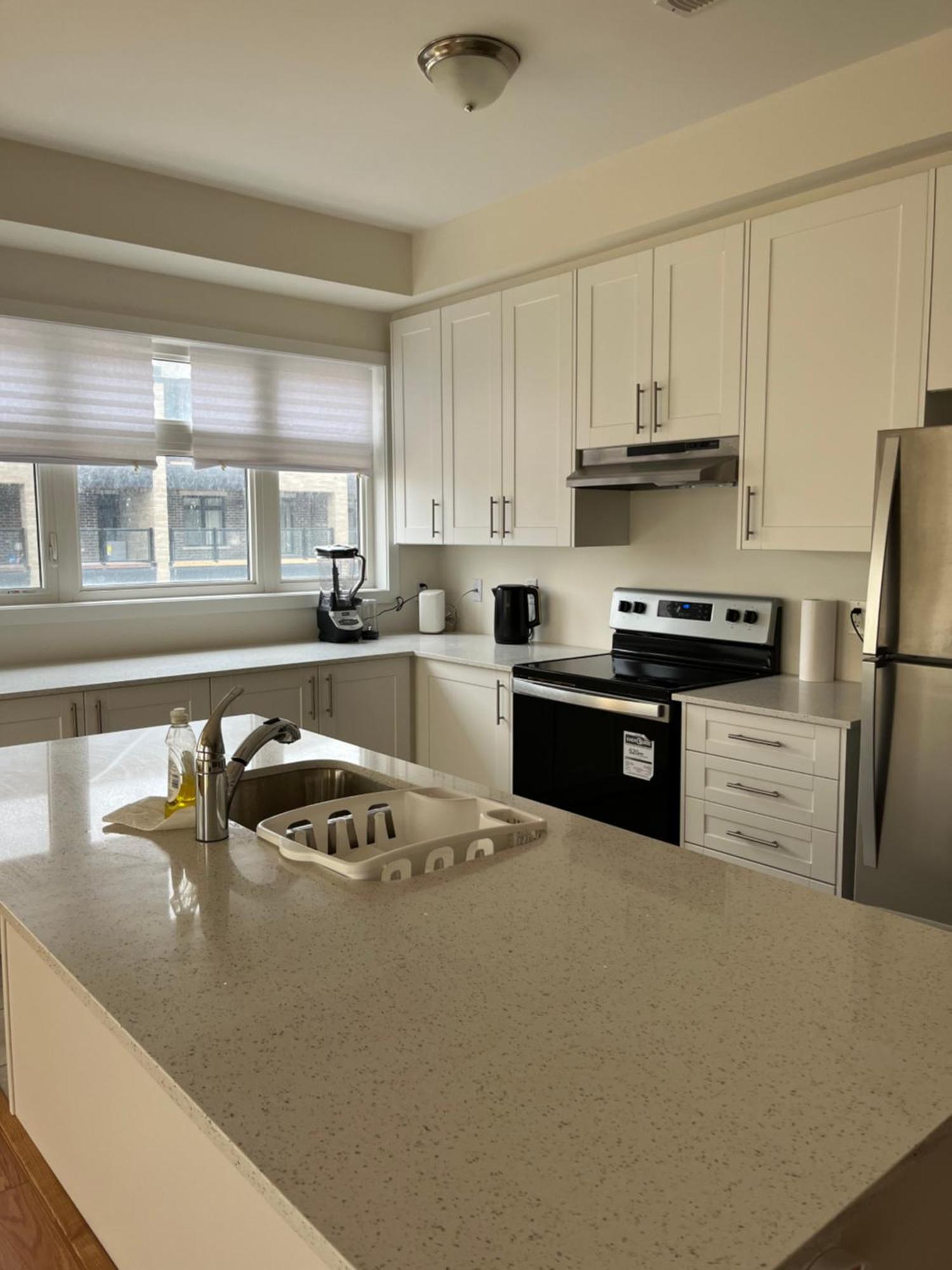 Luxury Brand New Townhouse In Milton Ontario Lägenhet Exteriör bild